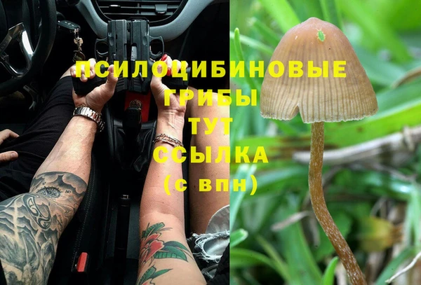 соль ск Заводоуковск