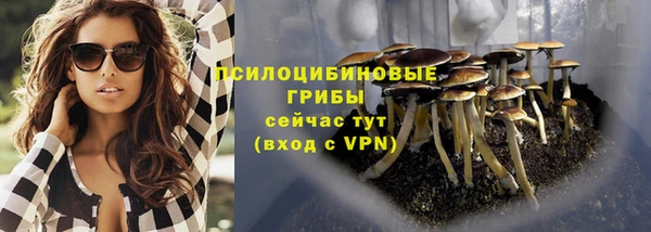 СК Зерноград